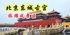 男生插女生逼视频免费网站中国北京-东城古宫旅游风景区