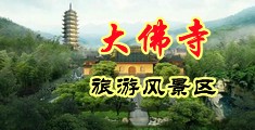 操逼网站AV免费中国浙江-新昌大佛寺旅游风景区